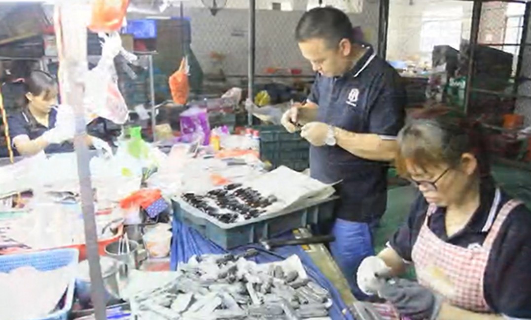 Applications-552x333-10_副本