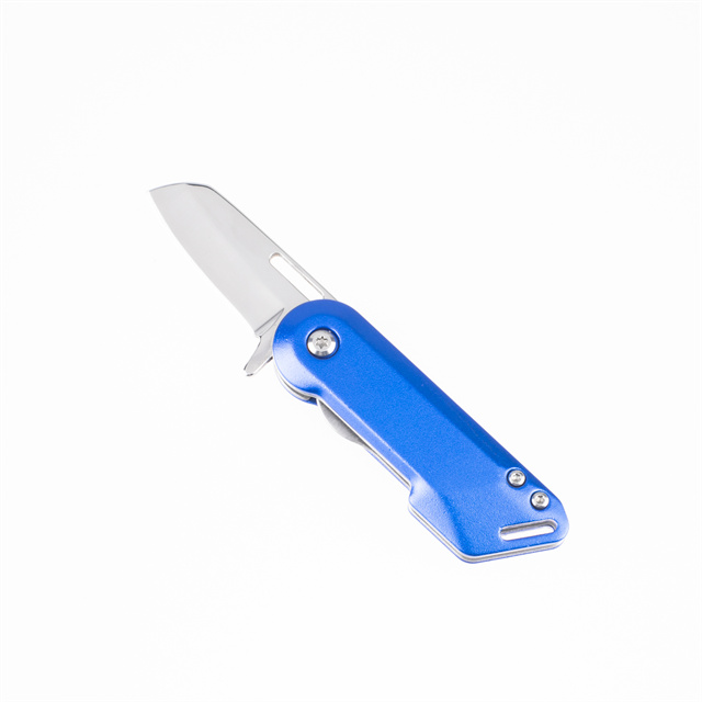 Mini Folding Pocket Knife
